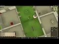OSRS Whiteberries Ironman