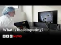Lagu What is biocomputing? | BBC News