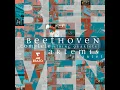 String Quartet No. 14 in C-Sharp Minor, Op. 131: VII. Allegro