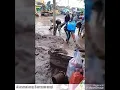 Download Lagu Alasmalang Banyuwangi ( Lare Osing Banyuwangi )