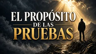 El Proposito De las Pruebas