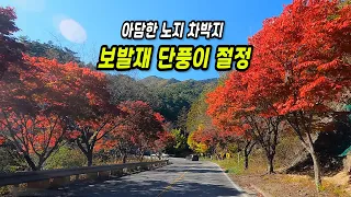 “가을 단양 차박 여행｜용산골 노지캠핑과 보발재 단풍” 썸네일