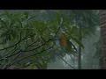 4K Tropical Rain Sounds & Relaxing Nature Video - Sleep/ Relax/ Study/ Meditate - Ultra HD