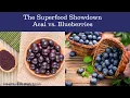 The Superfood Showdown Acai vs Blueberries Unveiling the Nutrient-Packed Winners