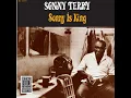 One Monkey Don't Stop The Show - Sonny Terry