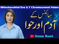 Lagu Mother and Father of Humanity | Y Chromosomal Adam and Mitochondrial Eve | Uzma Rumi