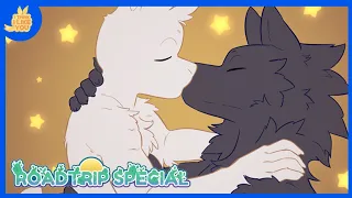 i think i like you episode 14 roadtrip special