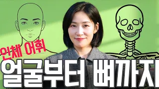 얼굴부터 뼈까지 인체 어휘 (관자놀이, 눈동자, 인중, 단전, 쇄골, 골반, 치골 등)