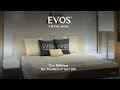 Download Lagu EVOS By King Koil | One Mattress For The Rest of Your Life