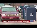 Sneaky thieves targeting big blue mailboxes