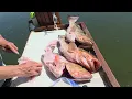 EPIC Marco Island Fishing Catch Clean Cook Secret Recipe