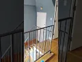 unit B downstairs of 8425 hillside Ave