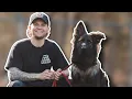 Your German Shepherd Training Blueprint