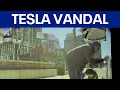Hennepin Co Attorney defends diversion for Tesla vandal