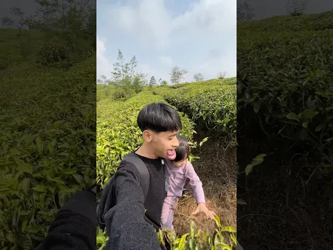 Perjalanan ke kebun, cari buah buat rujak