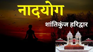 naadyog shantikunj haridwar naadyog sadhana shantikunj naadyog