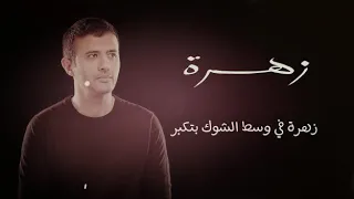 حمزه نمره زهره بدون موسيقي 