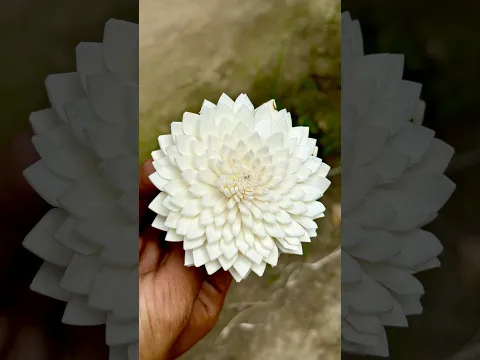 Sola Wood Hibiscus Flower Making | Step by Step Full Process. 😱 #amazing