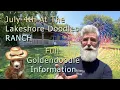 July 4th at Lakeshore Doodles Goldendoodle Information July 2025