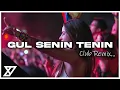 Download Lagu Bora Duran - Gül Senin Tenin (Y-Emre Music Club Remix)