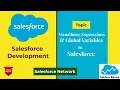 Day 4 Visualforce Expression and Global Variables in Salesforce Salesforce Network