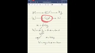 شرح الباب الرابع الكتلة والوزن و القصور الذاتي فيزياء اولى ثانوي عبدالودود القماطي 