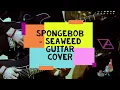 Download Lagu SEAWEED - GATOR - SpongeBob SquarePants Music Theme - GUITAR COVER
