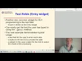 Python 10-4 GUIs - Text fields