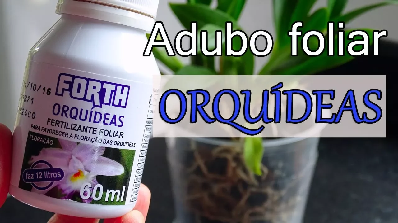 COMO FAZER ADUBAÇÃO FOLIAR NAS ORQUÍDEAS COM FORTH ORQUÍDEAS