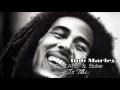Bob Marley - Is This Love (LVNDSCAPE & Bolier Remix)
