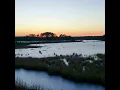 Sunset in the NJ Pine Barrens