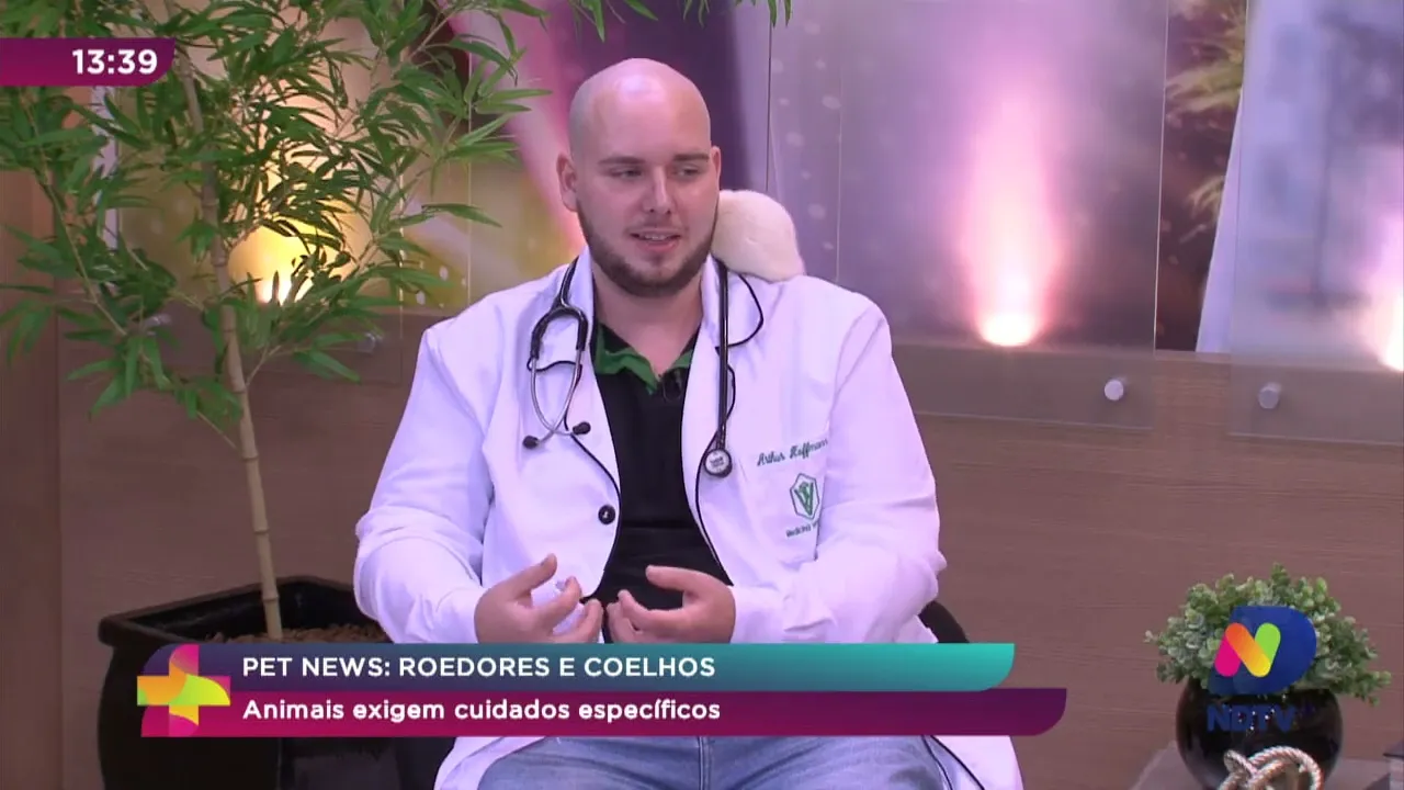 Pet News: roedores e coelhos exigem cuidados especiais