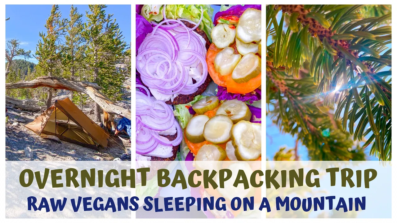 OVERNIGHT BACKPACKING TRIP  RAW VEGANS SLEEPING ON A MOUNTAIN