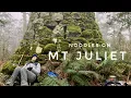 Mt Juliet