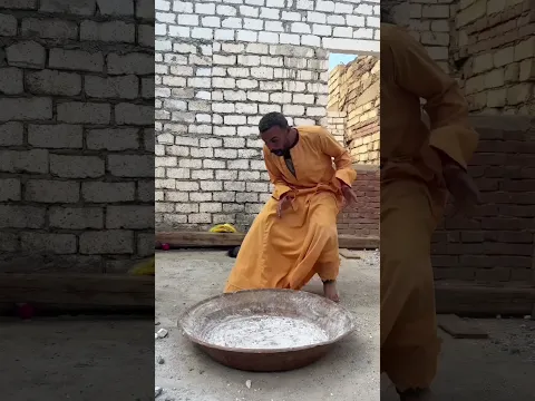 البقرة