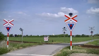 Spoorwegovergang Sejstrup (DK) // Railroad crossing // Jernbaneoverskæring