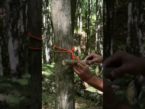 This Secret Rope Trick Actually Works in the Wild. #camping #survival #skills