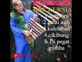 Download Lagu MP3 ALBUM CALUNG IINK KURNIA
