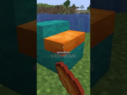PERRY O ORNITORRINCO !!!