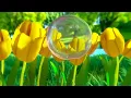 1 2 3 - 10 Number Song | Nursery Rhymes for Babies by LittleBabyBum - ABCs and 123s