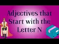 Adjective that Start with the Letter N Descriptive Words