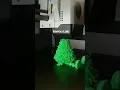 Little Christmas Tree