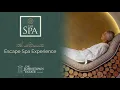 Escape Spa Experience at The Johnstown Estate