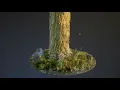 Photogrammetry Tree Stump