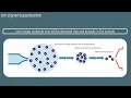 The Matrix Effect - Episode 1 Best Practices in LC-MS