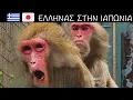 ΕΛΛΗΝΑΣ ΣΤΗΝ ΙΑΠΩΝΙΑ
