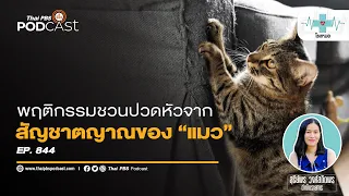 เราจะช่วยให้แมวหยุดทำลายบ้านได้อย่างไร