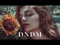 DNDM - Best Relax Mix 2025 | DNDM, Umar Keyn, Mr Salama,Davvi  New Musics | Retro Mix | Top 15 Songs