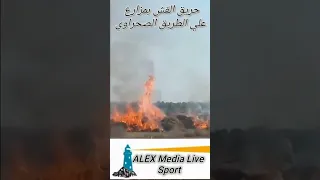 حريق المزارع للحشائش الضارة 
