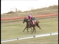 Yeppoon jump-outs Friday September 9 2016 Heat 5 430m
